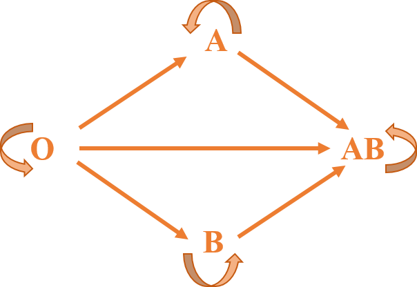 SƠ NÉT VỀ NHÓM MÁU HỆ ABO VÀ Rh Bệnh viện Đa khoa Hòa Bình
