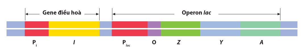 A colorful bars with black text
Description automatically generated with medium confidence