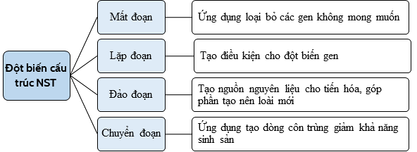 Diagram
Description automatically generated