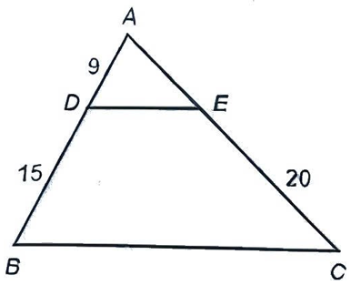 A triangle with numbers and letters

AI-generated content may be incorrect.