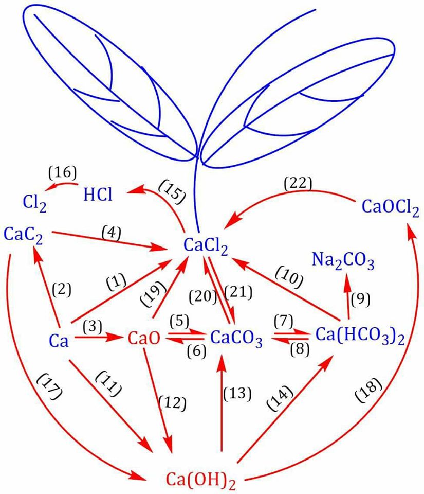 15129624_10209939267657315_6351379084437214582_o