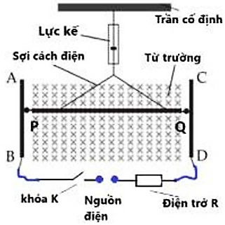 Ảnh có chứa hàng, văn bản, biểu đồ, Phông chữ

Nội dung do AI tạo ra có thể không chính xác.