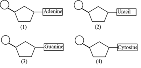 A black background with a black square

Description automatically generated with medium confidence