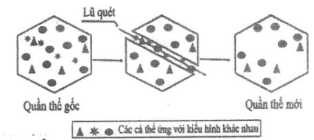 A diagram of a diagram of a diagram
Description automatically generated with medium confidence