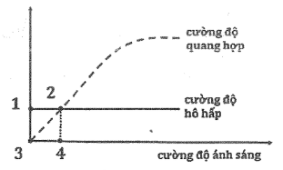 A diagram of a curve

Description automatically generated
