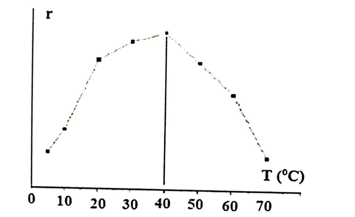 A graph of a function
AI-generated content may be incorrect.
