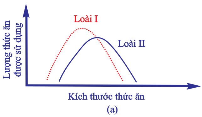 A diagram of a curve
Description automatically generated