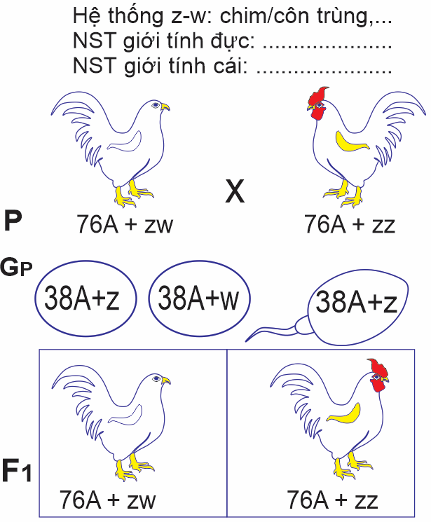 A chicken with numbers and symbols

Description automatically generated