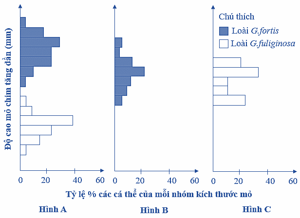 A graph of a number of blue squares

Description automatically generated with medium confidence