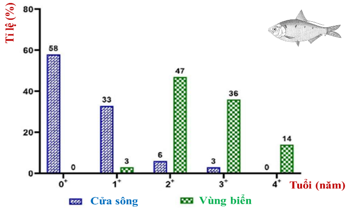 A graph of different colored squares

Description automatically generated