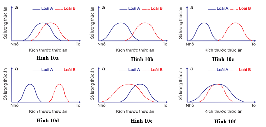 A group of graphs showing different types of lines

AI-generated content may be incorrect.