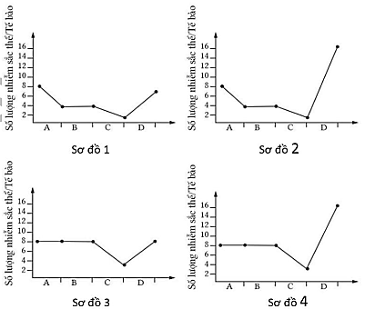 A graph of different types of lines
AI-generated content may be incorrect.