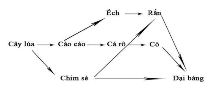 A diagram of a diagram

AI-generated content may be incorrect.