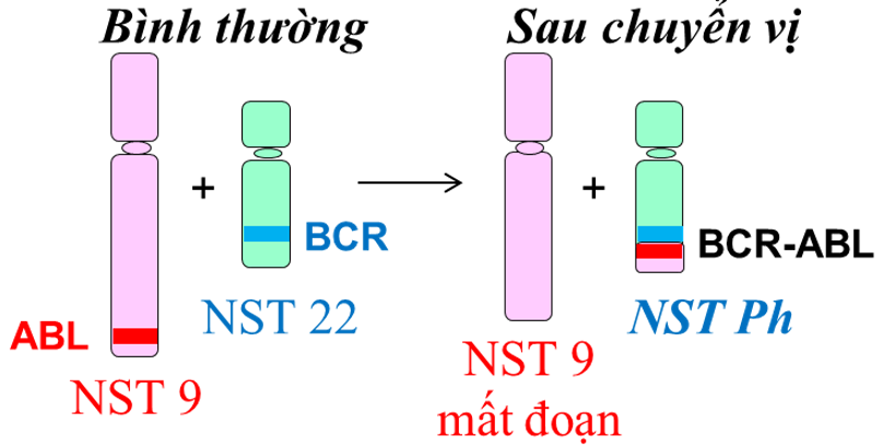 A diagram of different colored objects

AI-generated content may be incorrect.