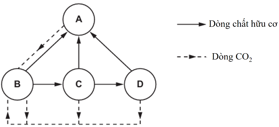 A diagram of a diagram

AI-generated content may be incorrect.