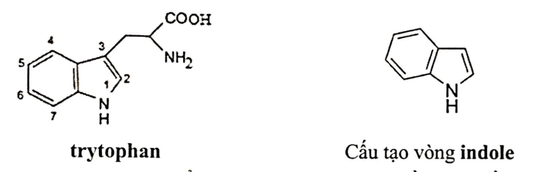 A chemical formula with black text

AI-generated content may be incorrect.