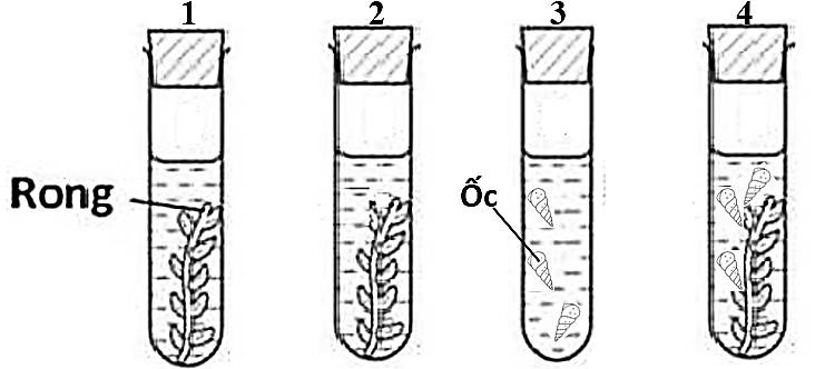 A diagram of a test tube

AI-generated content may be incorrect.