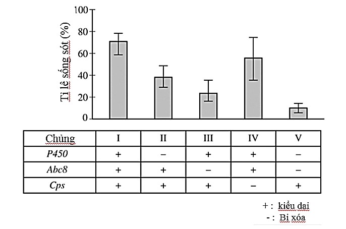 A graph of a number of objects

AI-generated content may be incorrect.