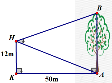 A diagram of a triangle with a tree and text
Description automatically generated