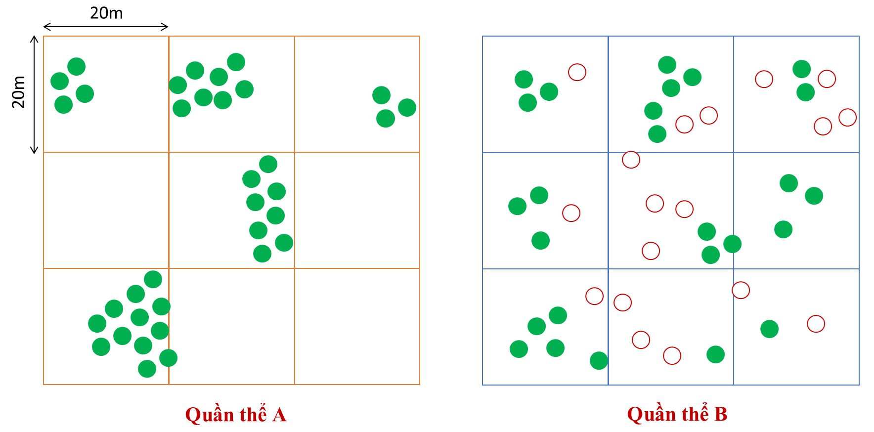 A screenshot of a game

AI-generated content may be incorrect.