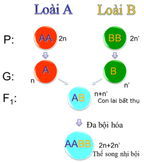 A diagram of a number of circles with text

AI-generated content may be incorrect.