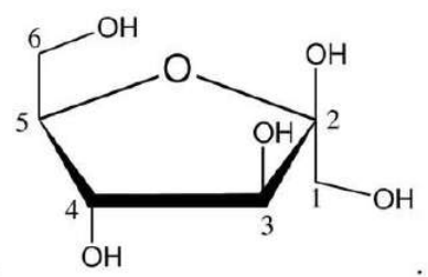 A group of chemical formulas

AI-generated content may be incorrect.