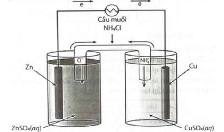 Diagram of a diagram of a liquid in a glass container

AI-generated content may be incorrect.