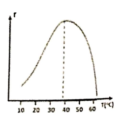 A graph of a function

AI-generated content may be incorrect.