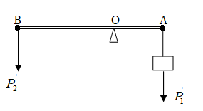 Có đòn bẩy như hình 10. Đầu A của đòn bẩy treo một vật có trọng l