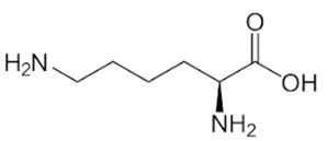 Đầy đủ c&ocirc;ng thức cấu tạo lysin v&agrave; t&aacute;c dụng của lysin trong cơ thể