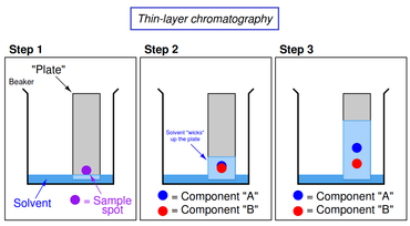 What is thin layer chromatography (TLC) used for in chemistry? How does TLC  work on identifying compounds from each other and understanding their  structures? - Quora