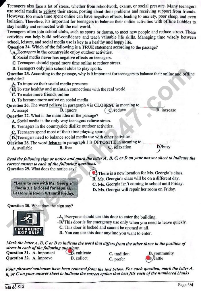 De thi giua ki 1 mon Anh lop 8 THCS Ngo Gia Tu 2025