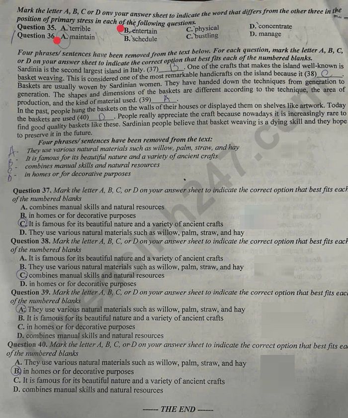 De thi giua ki 1 nam 2025 lop 9 mon Anh - THCS Le Ngoc Han