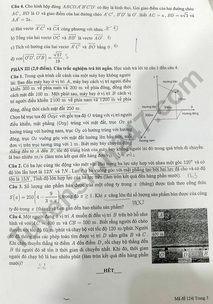 De thi giua HK1 mon Toan lop 12 Truong Trung hoc Thuc hanh Sai Gon 2025