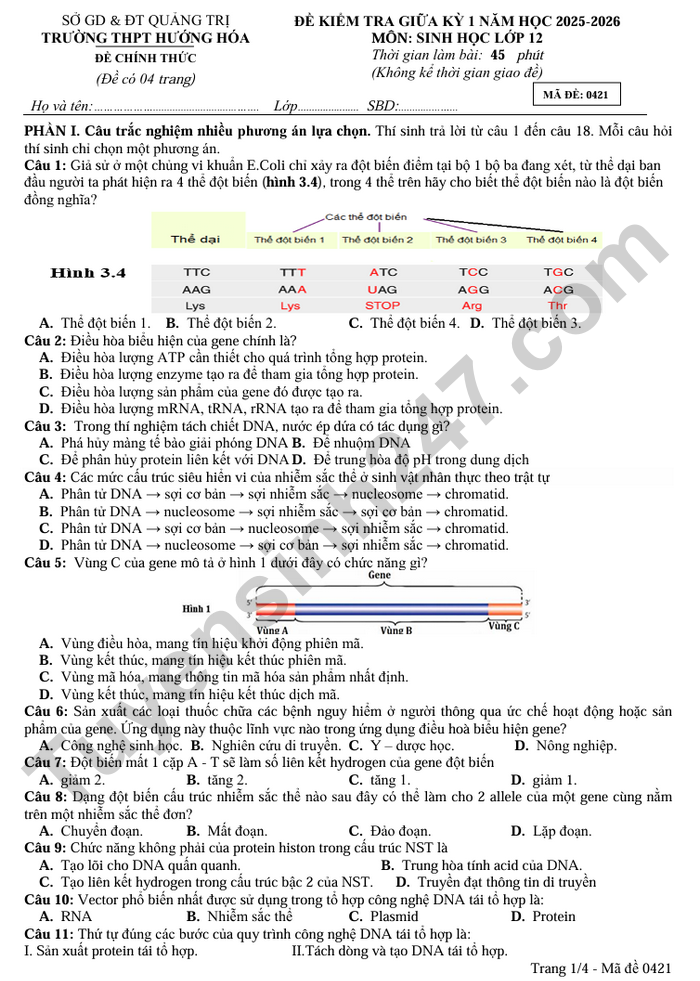 De thi giua ki 1 nam 2025 THPT Huong Hoa - mon Sinh lop 12
