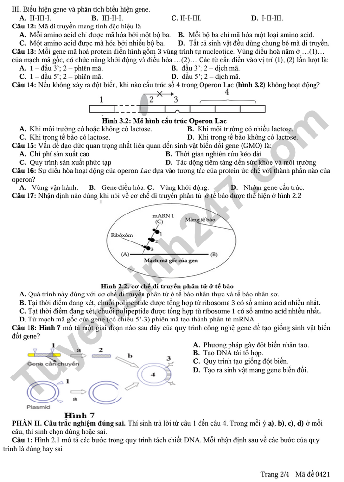 De thi giua ki 1 nam 2025 THPT Huong Hoa - mon Sinh lop 12