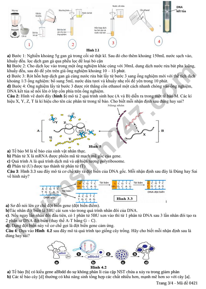 De thi giua ki 1 nam 2025 THPT Huong Hoa - mon Sinh lop 12