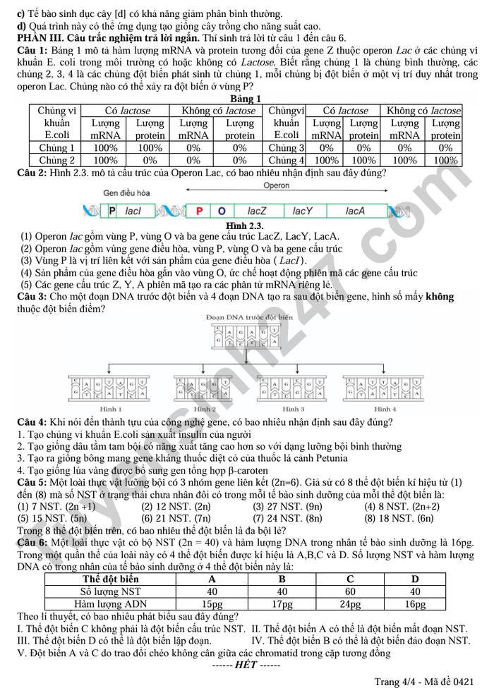 De thi giua ki 1 nam 2025 THPT Huong Hoa - mon Sinh lop 12