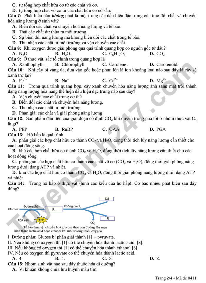 De thi giua ki 1 mon Sinh lop 11 THPT Huong Hoa 2025