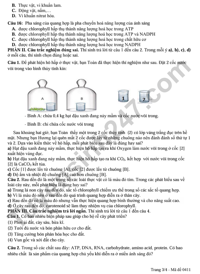 De thi giua ki 1 mon Sinh lop 11 THPT Huong Hoa 2025