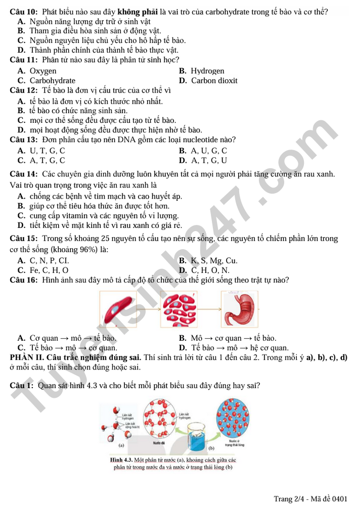 De thi giua ki 1 mon Sinh lop 10 THPT Huong Hoa 2025