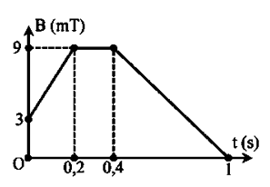 A diagram of a triangle

AI-generated content may be incorrect.