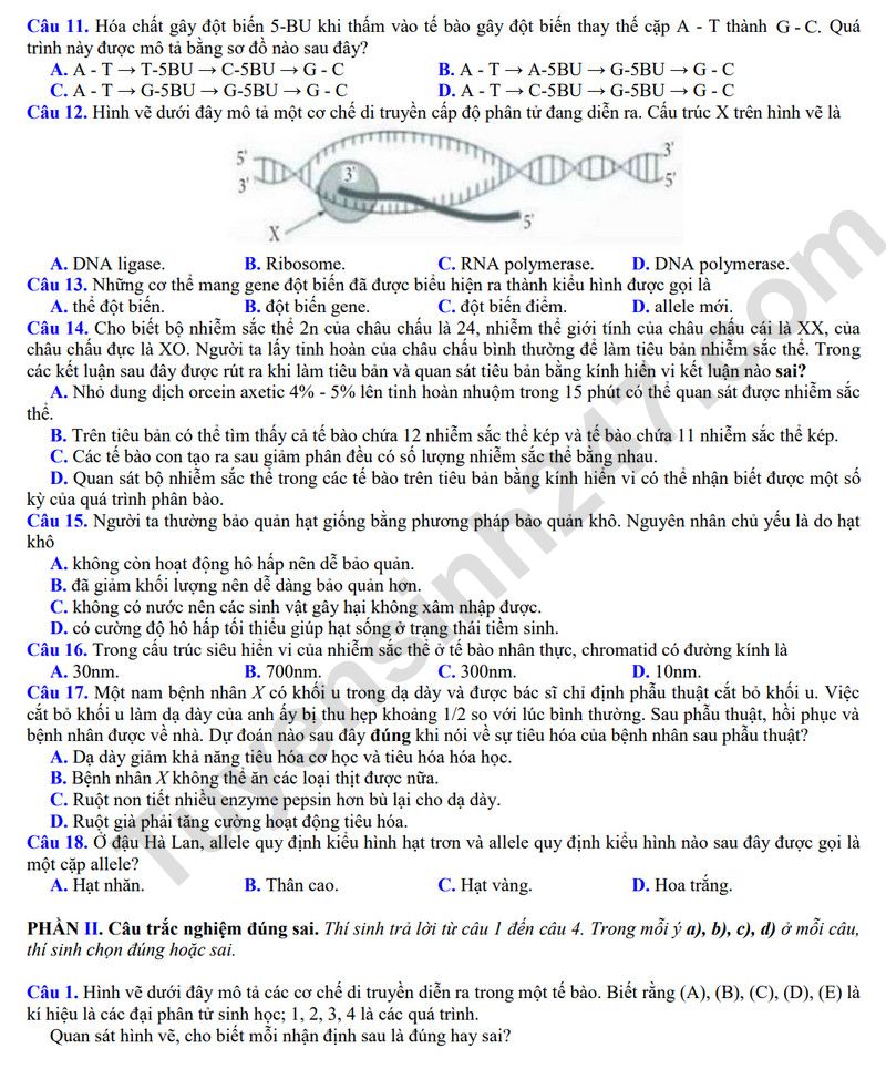De thi thu tot nghiep THPT 2026 mon Sinh - Cum truong Bac Ninh (Co dap an)