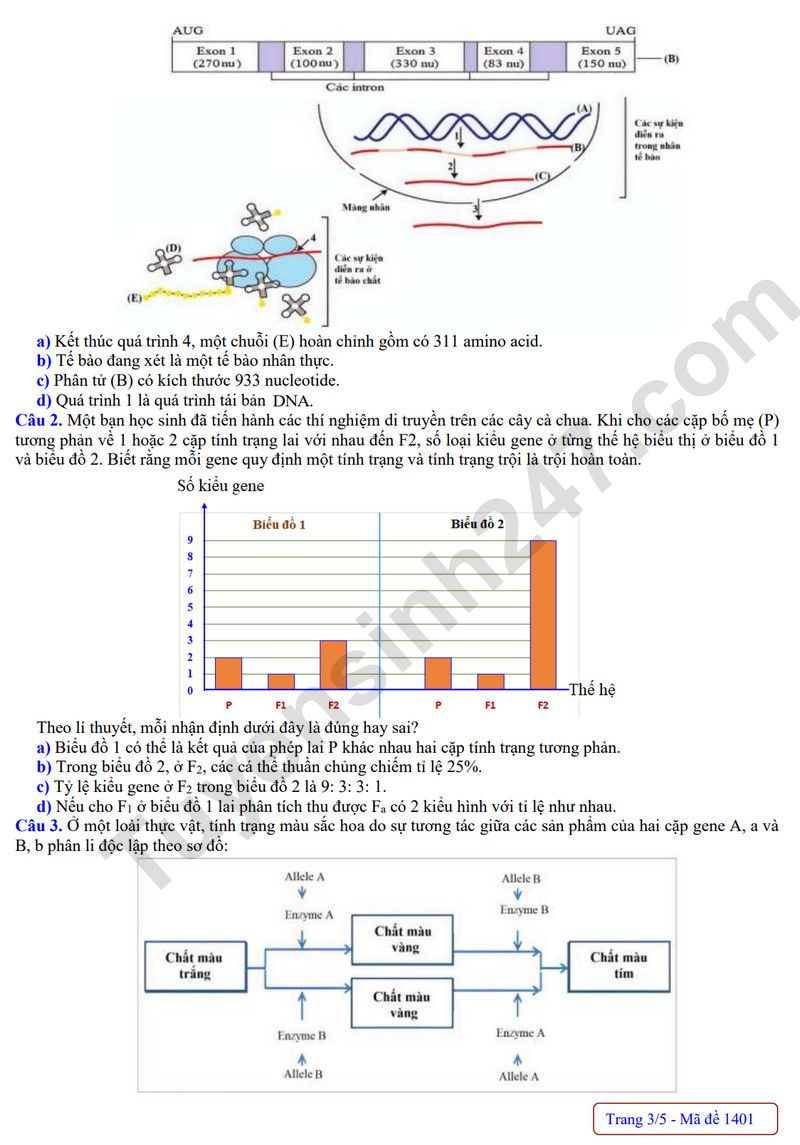 De thi thu tot nghiep THPT 2026 mon Sinh - Cum truong Bac Ninh (Co dap an)