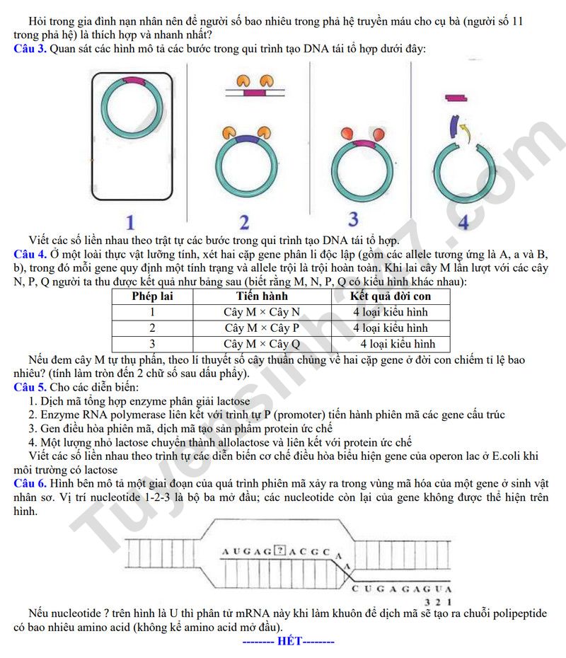De thi thu tot nghiep THPT 2026 mon Sinh - Cum truong Bac Ninh (Co dap an)