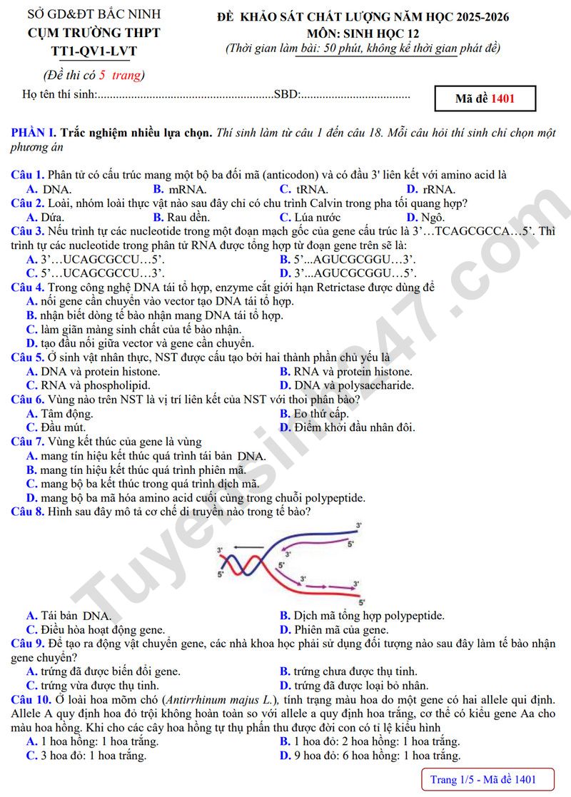 De thi thu tot nghiep THPT 2026 mon Sinh - Cum truong Bac Ninh (Co dap an)