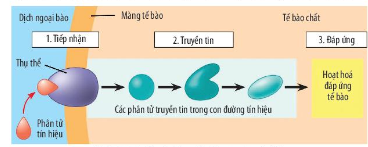 A diagram of a diagram of a drop of water

AI-generated content may be incorrect.