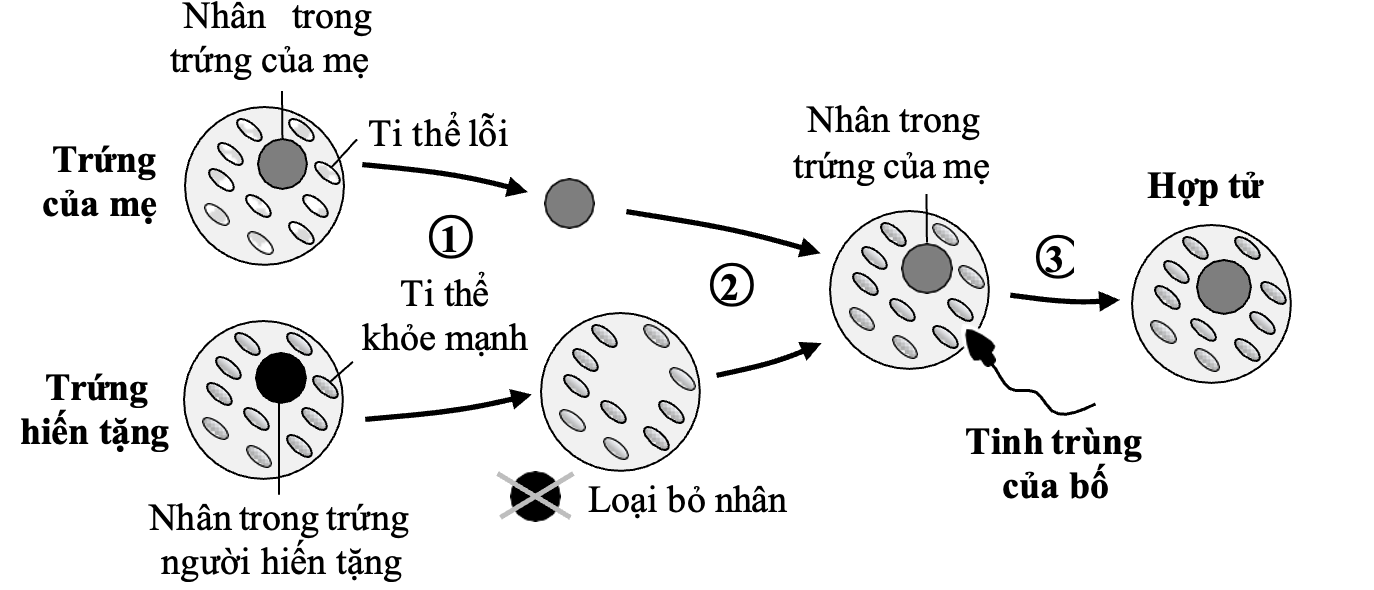 A diagram of a diagram of a circle
AI-generated content may be incorrect.