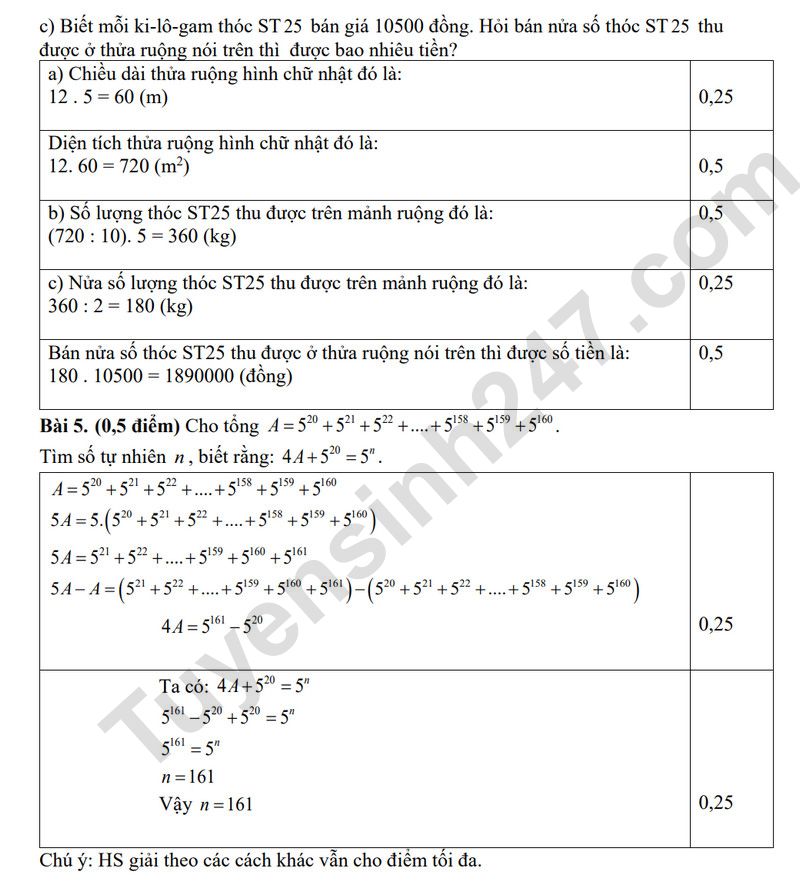 De giua ki 1 lop 6 mon Toan 2025 - THPT Tong Van Tran (Co dap an)