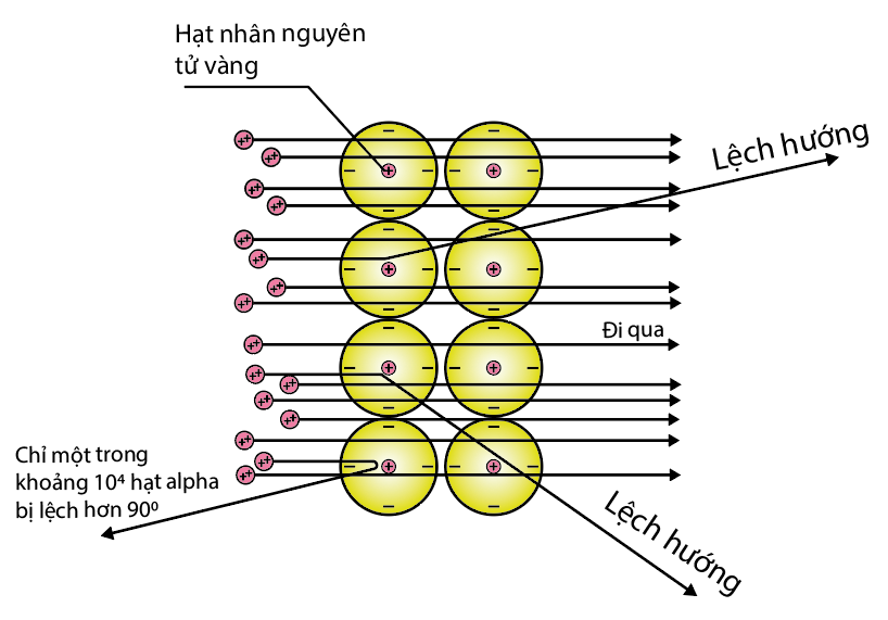 Diagram of a diagram of a cell
AI-generated content may be incorrect.